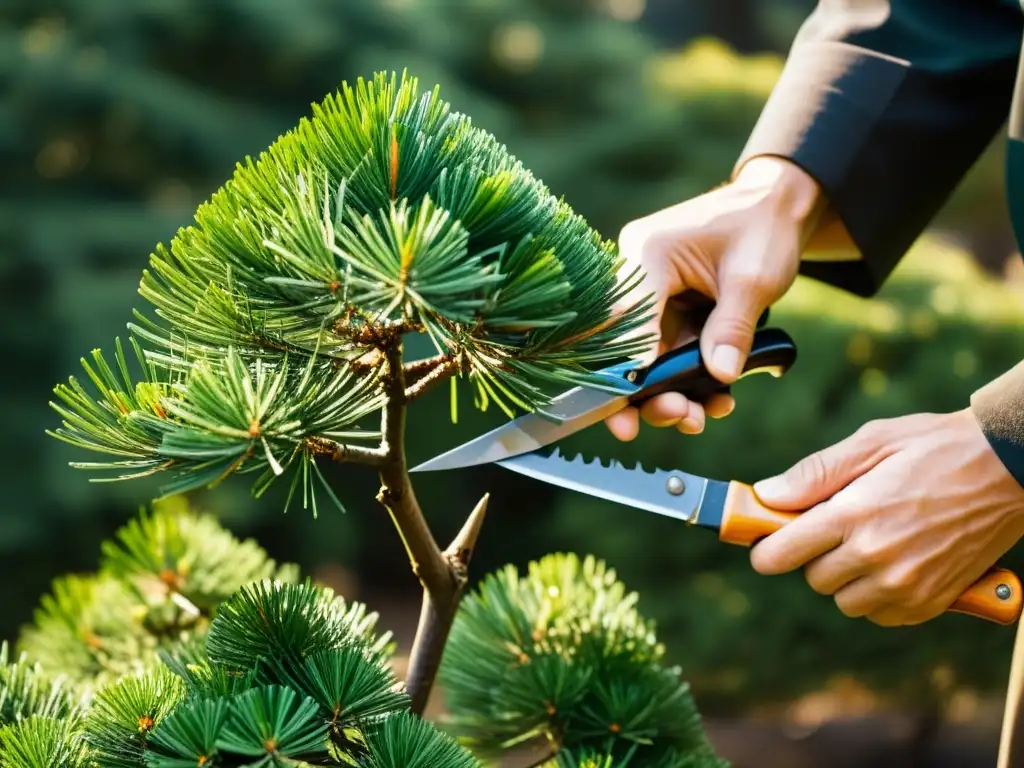 Un hábil jardinero poda con precisión un pino japonés, evocando la tranquilidad y la artesanía de las Técnicas de poda inspiradas en samuráis