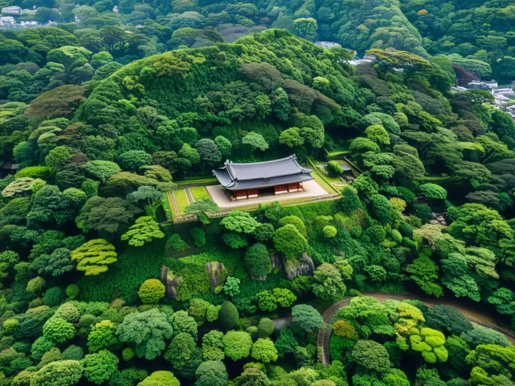 Ruinas del primer shogunato samurái Kamakura, rodeadas de exuberante vegetación, con la luz de la mañana creando un juego de luces y sombras evocador